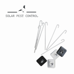 PhotoRoom-20230710_164617