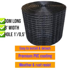 Photoroom-20240222_124727