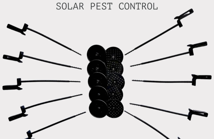 image_2023-07-01_171035025