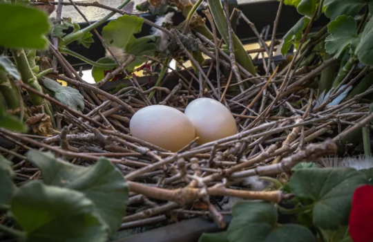 image_2023-07-01_220206455